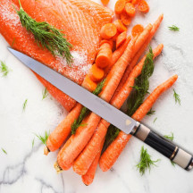 KYNA FACA SASHIMI 280MM | Logifacas