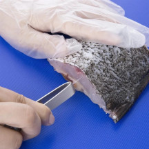 Logifacas Pinça espinha de peixe | Logifacas