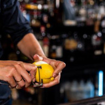 Descascador Bar Professional | Logifacas