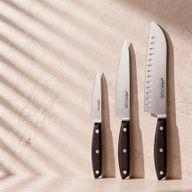 ARCOS Bloco de madeira de 4 facas de cozinha série Ibiza | Logifacas.