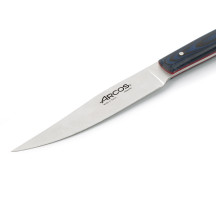 FACA DE BIFE ORIGIN DE AZUL MICARTA